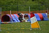 wedstrijd apeldoorn 18-04-2026
