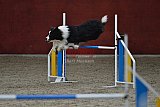 winterwedstrijd Agility Friends het keelven23-11-2025
