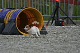 zomer wedstrijd someren zaterdag