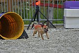 zomer wedstrijd someren zaterdag