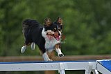 zomer wedstrijd someren zaterdag