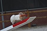 zomer wedstrijd someren zaterdag