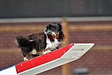 zomer wedstrijd someren zaterdag