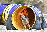 zomer wedstrijd someren zaterdag