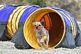 zomer wedstrijd someren zaterdag