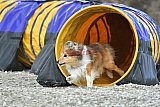 zomer wedstrijd someren zaterdag