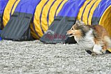 zomer wedstrijd someren zaterdag