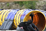 zomer wedstrijd someren zaterdag