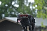 zomer wedstrijd someren zaterdag
