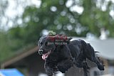 zomer wedstrijd someren zaterdag