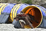 zomer wedstrijd someren zaterdag