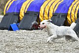 zomer wedstrijd someren zaterdag