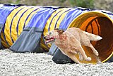 zomer wedstrijd someren zaterdag