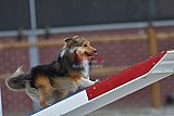 zomer wedstrijd someren zaterdag
