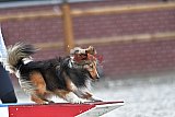 zomer wedstrijd someren zaterdag