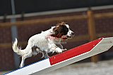 zomer wedstrijd someren zaterdag