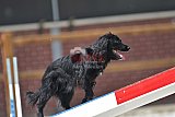 zomer wedstrijd someren zaterdag
