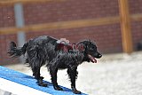 zomer wedstrijd someren zaterdag