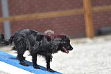 zomer wedstrijd someren zaterdag