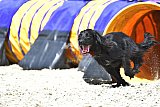zomer wedstrijd someren zaterdag