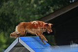 zomer wedstrijd someren zaterdag