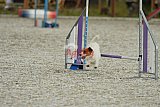 zomer wedstrijd someren zaterdag