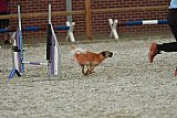 zomer wedstrijd someren zaterdag