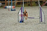 zomer wedstrijd someren zaterdag