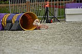 zomer wedstrijd someren zaterdag
