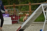 zomer wedstrijd someren zaterdag