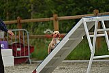 zomer wedstrijd someren zaterdag