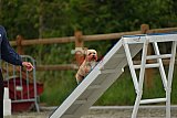 zomer wedstrijd someren zaterdag