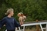 zomer wedstrijd someren zaterdag