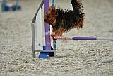 zomer wedstrijd someren zaterdag