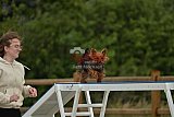 zomer wedstrijd someren zaterdag
