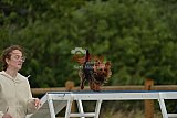 zomer wedstrijd someren zaterdag