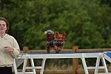 zomer wedstrijd someren zaterdag