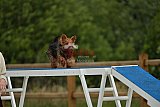 zomer wedstrijd someren zaterdag