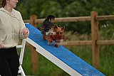 zomer wedstrijd someren zaterdag