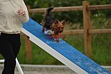 zomer wedstrijd someren zaterdag