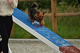 zomer wedstrijd someren zaterdag