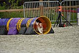 zomer wedstrijd someren zaterdag