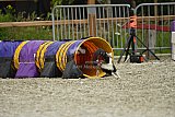 zomer wedstrijd someren zaterdag