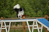 zomer wedstrijd someren zaterdag