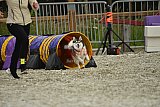 zomer wedstrijd someren zaterdag
