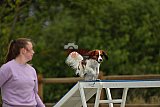 zomer wedstrijd someren zaterdag
