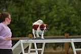 zomer wedstrijd someren zaterdag