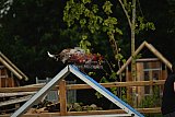 zomer wedstrijd someren zaterdag