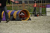 zomer wedstrijd someren zaterdag