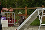 zomer wedstrijd someren zaterdag